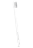 Morning Toothbrush